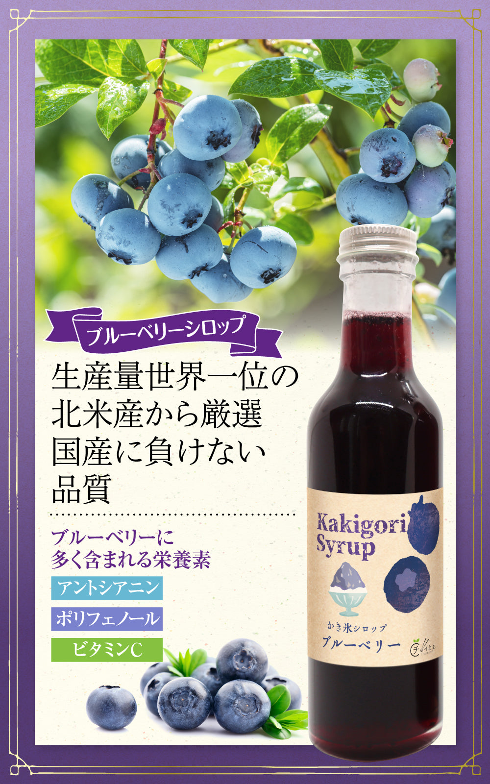Choitomo かき氷シロップ いちご・ブルーベリー・抹茶の3種セット